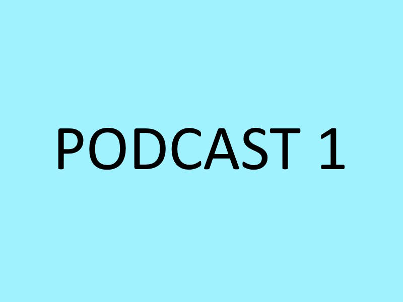 Podcast 1