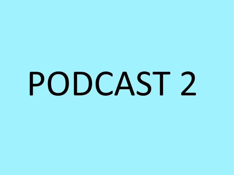 Podcast 2