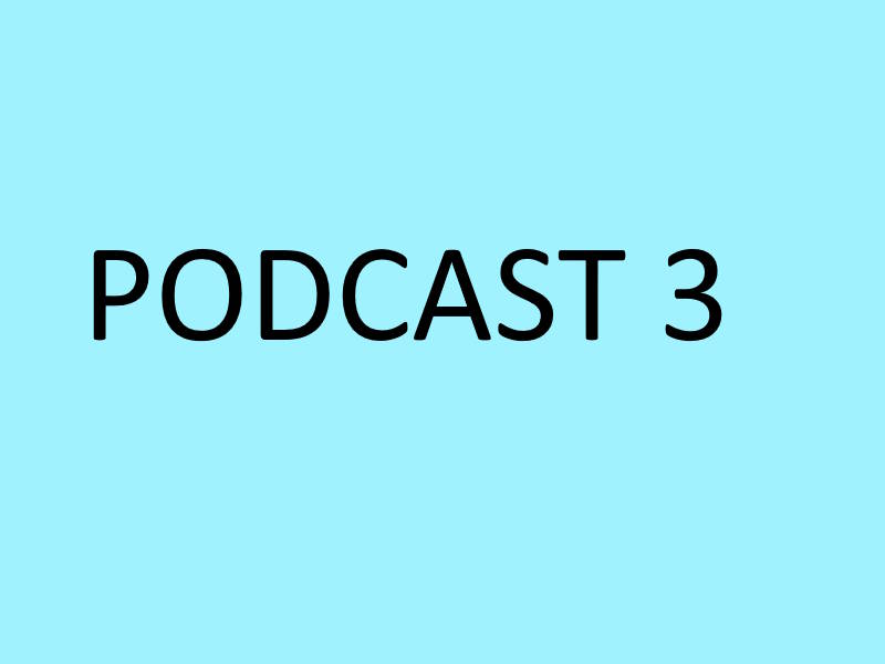 Podcast 3
